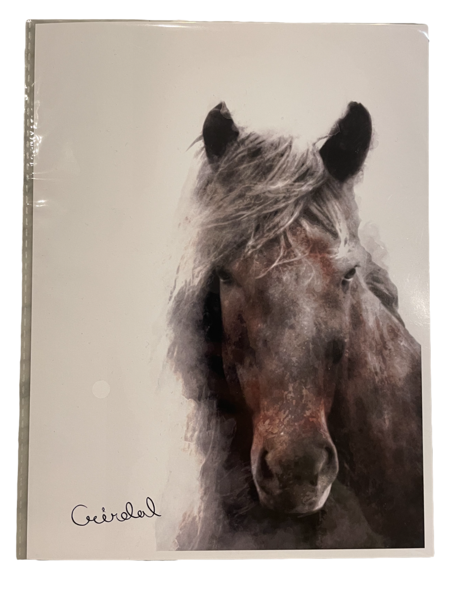 Digital Print with Icelandic Fauna by Kukla Digital Print with Icelandic Fauna by Kukla